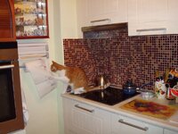 Η ζημιες του Αρη 18-11 002 α.jpg