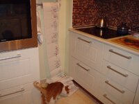 Η ζημιες του Αρη 18-11 001 α.jpg