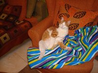 ΑΡΗΣ ΚΑΙ ΜΥΡΤΩ α.jpg