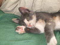 Αντίγραφο από DSCF0564.JPG