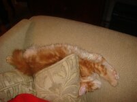 Duffy and Cammy! 458.jpg