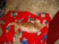 Duffy and Cammy! 437.jpg