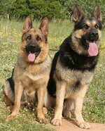 Εικόνα 066.jpg