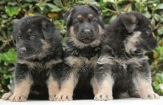 Εικόνα 080.jpg