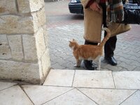 ΠΑΛΙΟΥΡΙ ΝΟΕΜΒΡΗΣ 08 007 α.jpg