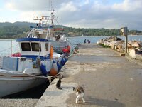 ΠΑΛΙΟΥΡΙ ΝΟΕΜΒΡΗΣ 08 067 α.jpg