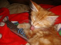 Duffy and Cammy! 468.jpg