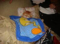 Duffy and Cammy! 472.jpg