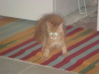 Duffy and Cammy! 460.jpg