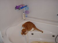 ΜΠΑΝΙΟ ΔΕΚΕΜΒΡΗΣ 08 002 Α.jpg