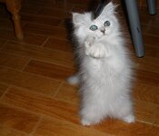 Imported Photos 00021.jpg