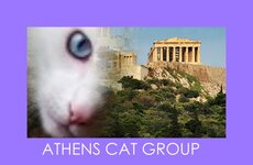 athens-parthenon-greece-big.jpg