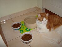 Καινουργια πιατακια 004 α.jpg