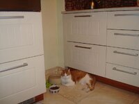 Καινουργια πιατακια 005 α.jpg