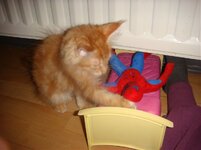 Duffy and Cammy! 497.jpg