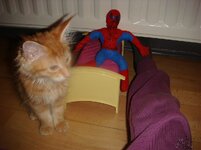 Duffy and Cammy! 495.jpg