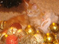 Duffy and Cammy! 504.jpg