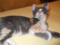 Αντίγραφο από DSCF0007.JPG