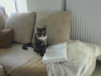 280805-183716 α.jpg