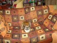 Ο Αρης στην κουζινα 005 α.jpg