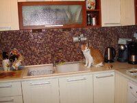 Ο Αρης στην κουζινα 001 α.jpg