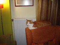 ΑΡΗΣ ΚΑΙ ΜΥΡΤΩ 003 α.jpg