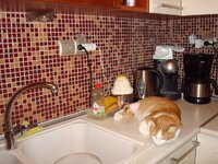 Ο Αρης στην κουζινα 003 α.jpg