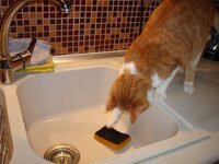 Ο Αρης στην κουζινα 008 α.jpg