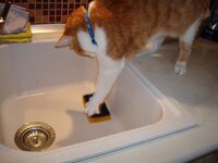 Ο Αρης στην κουζινα 009 α.jpg