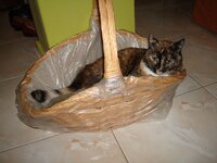 Ο Αρης στην κουζινα 006 α.jpg