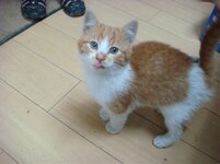 Duffy and Cammy! 609.jpg