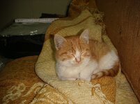 Duffy and Cammy! 611.jpg