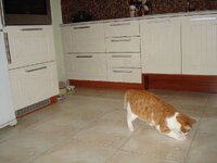 ΛΕΙΖΕΡ 002 α.jpg