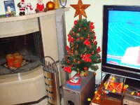 ΧΡΙΣΤΟΥΓΕΝΝΑ 2008 002 α.jpg