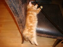 Duffy and Cammy! 591.jpg