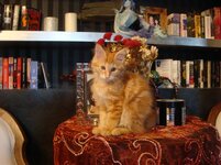 Duffy and Cammy!.jpg