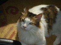 PASHA ANDROS 2008 008.jpg