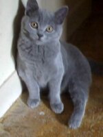 Re-exposure of Rotation of 12-11-08_1359.jpg