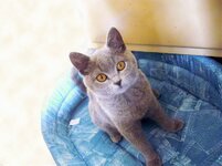 Resize of Pa1090918.jpg