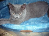 Resize of P1090951.jpg