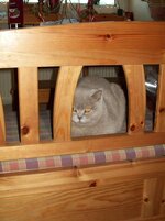 Ραισα χρι.jpg