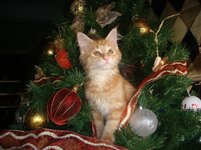 Duffy and Cammy! 638.jpg