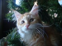 Duffy and Cammy! 631.jpg