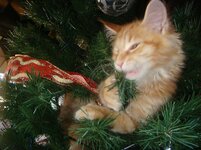 Duffy and Cammy! 641.jpg