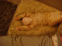 Duffy and Cammy! 621.jpg