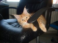 Duffy and Cammy! 650.jpg