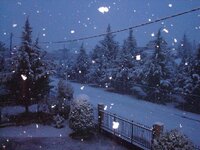 Χριστουγεννα-08 019 α.jpg