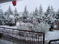 Χριστουγεννα-08 028 α.jpg