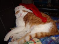 Χριστουγεννα-08 058 α.jpg