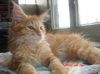 Duffy and Cammy! 661.jpg